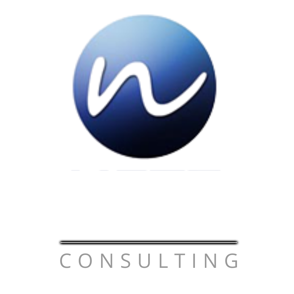 Netz Consulting Logo Dark BG